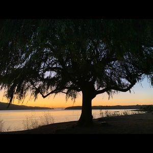 ALL ITEMS MUST GO! Make me an offer :)